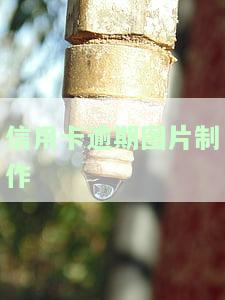 2021年信用卡逾期图片和新政策