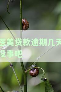 医美贷款逾期会怎么样处罚及如何应对？