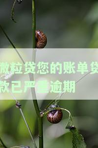 微粒贷逾期还完显示总额度不足