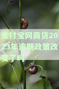 支付宝网商贷2023年逾期政策改变了吗，预期会影响什么？
