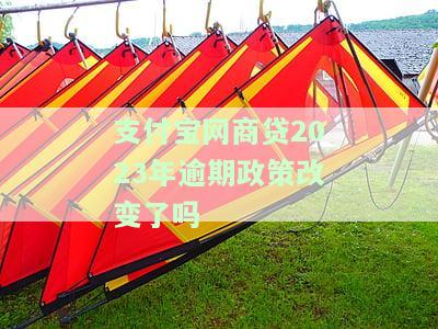 支付宝网商贷逾期26万事件及后果分析