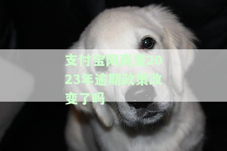 支付宝网商贷期几天会怎样及对征信的影响？