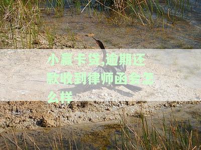 小赢卡贷寄的律师函是安全的吗？