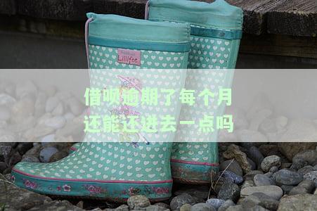 蚂蚁借呗逾期每月还一点会被起诉吗？怎么办？