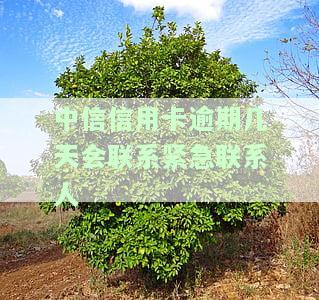 中信信用卡逾期几天会联系紧急联系人