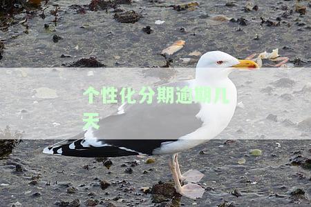 个性化分期逾期几天怎么办及再次申请说明