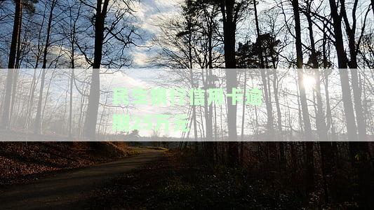 民生银行信用卡逾期25万元会起诉吗及应对措