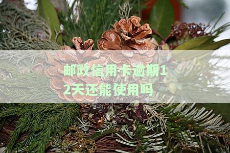 邮政信用卡逾期12天还能使用吗知乎怎么解决