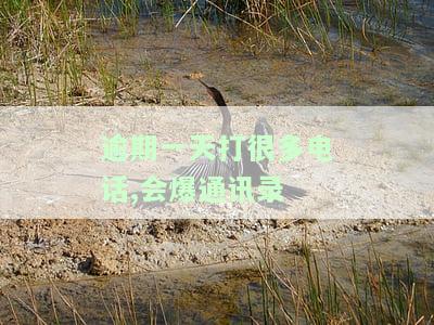 逾期每天几十个电话接不接，怎么办？