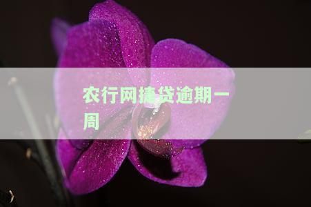 农行网捷贷逾期一个月就会被起诉吗？该如何应对？