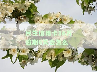 我欠民生信用卡18000逾期9个月了怎么办，欠民生银行信用卡1万逾期一年，怎么协商还款？