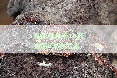 民生信用卡16万逾期6天会怎么