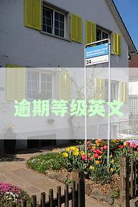 逾期等级英文翻译