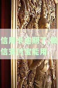 信用卡逾期了，微信支付宝能用