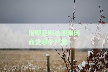 支付宝借呗和花呗逾期，律师函和起诉可能性分析