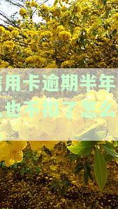 2020年信用卡逾期半年未还金额怎么算，欠信用卡逾期半年会坐牢吗？