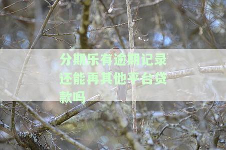 分期乐逾期后别的平台还能贷款吗？