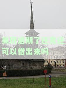 美团借钱逾期还进去还可以再借出来吗？知乎解答：逾期还清后，多久才能再次借款？