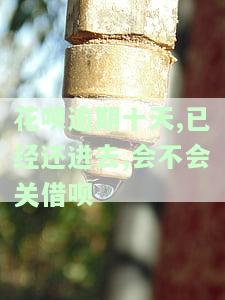 花呗逾期十天,已经还进去,会不会关借呗额度，影响征信吗？