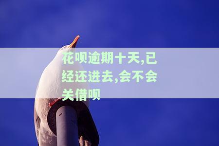 花呗逾期十天，已还进去，会影响征信和借呗吗？