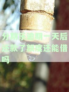 分期乐逾期了一天，还清了还能不能借出来？