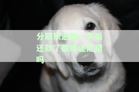 分期乐逾期一天后还款还能继续借款吗？
