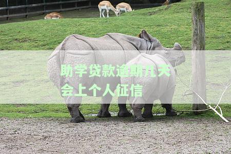助学贷逾期几天会影响贷款、征信和政审吗？
