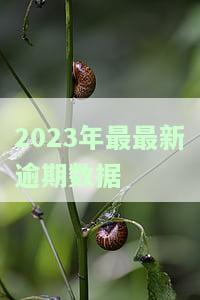最新逾期人数及全国逾期人数2020、2021年情况