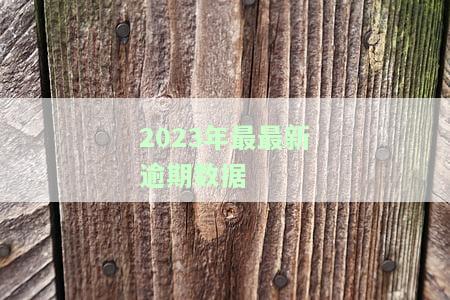 2021年逾期的人到底有多少，今年逾期的人有多少