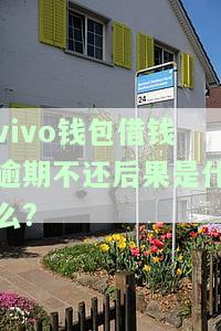 vivo钱包借钱逾期不还后果是什么呢及应对方法
