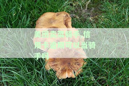 美团卖菜骑手,信用卡逾期可以当骑手吗