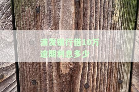 浦发欠款10万逾期4年还不上怎么办？