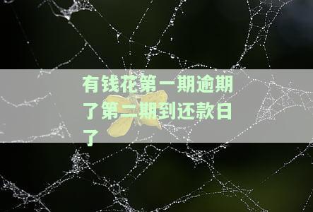 有钱花第一期逾期了第二期到还款日了