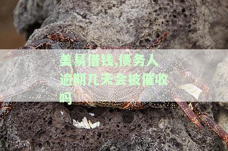 美易借贷怎么样，国美易卡额度9200，可靠吗？