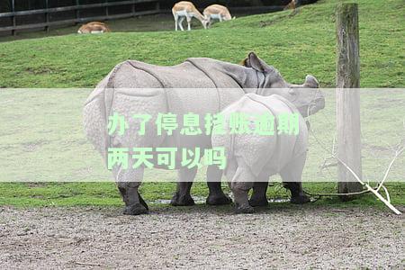 办了停息挂账逾期两天可以吗