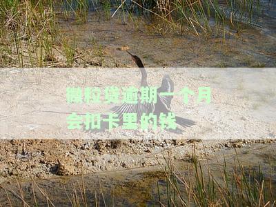 微粒贷逾期一个月会扣卡里的钱