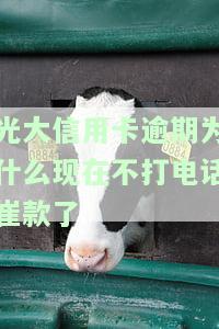 光大信用卡逾期为什么现在不打电话款了呢，2020年光大信用卡逾期接受不了还款方式