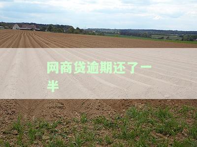 网商贷逾期还了一半还能借吗