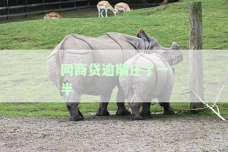 网商贷逾期以后还清，还会借给你吗？安全吗？