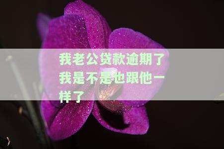 我老公贷款逾期了我是不是也跟他一样了