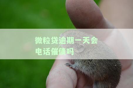 微粒贷逾期一天会电话催债吗