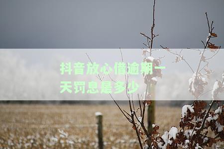 抖音放心借有宽限期吗？逾期没钱怎么办？宽限期三天？逾期半天催收？可以逾期几天？