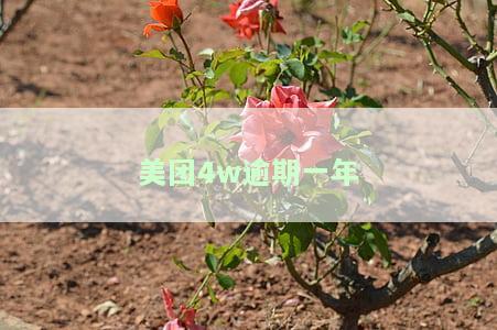 美团逾期4万多元需要承担法律责任，逾期多久会被起诉？