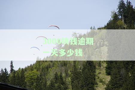3000逾期每天费用及处理方式