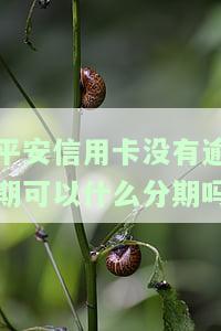 平安银行有信用卡宽限期吗？