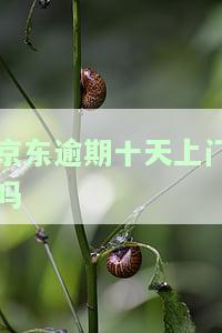 京东逾期十天上门怎么办？逾期二十天会告诉家人吗？逾期30多天要还完否则上门。