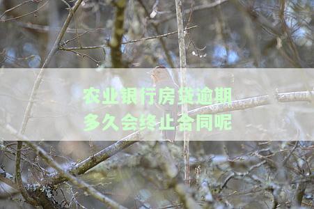 农业银行房贷逾期多久会止合同呢？如何补救？