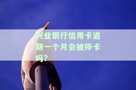 兴业银行信用卡逾期一天对信用和贷款有影响吗?