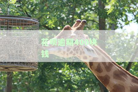 花呗逾期400块钱去银行贷款可以贷吗，安全吗，多少钱可以贷？