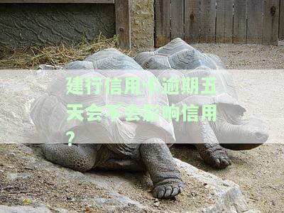 建设银行逾期五天还款会不会有影响征用卡利息